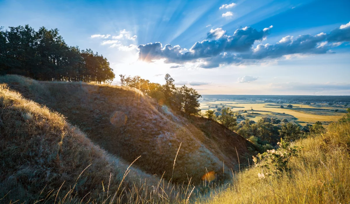 Oni Już Wiedzą Jak znaleźć ciekawe informacje, Odbierz Dostęp Zanim O 12:12 System Wyłączy Rejestrację
