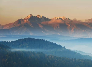 To może Cię zainteresować. Jak oddać elektrośmieci profesjonalnie