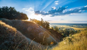 Gdzie taniej Oddać elektrośmiecie we Wrocławiu?