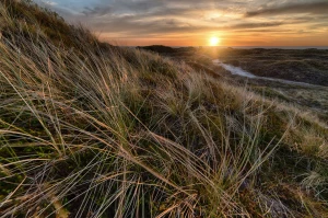 Jak kupić paracord 5mm i się nie nudzić?